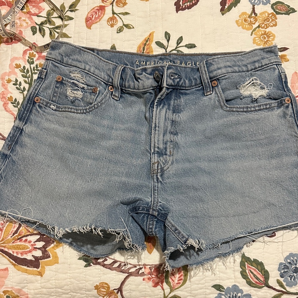 American Eagle Outfitters Light Blue Distressed Jean Shorts